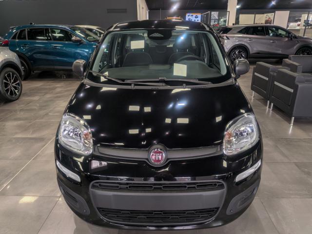 Fiat Panda 1.0 70 ch Hybrid Bsg s/S City