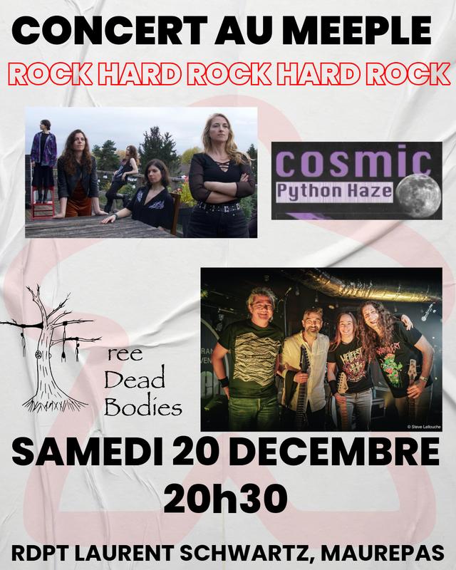 Concert Rock &amp; Hard Rock au Meeple