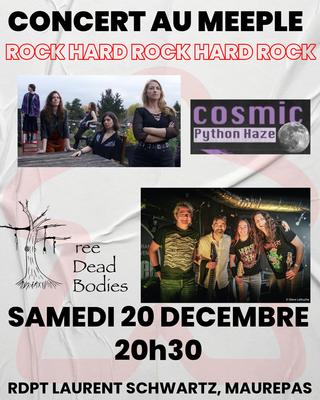 Concert Rock &amp; Hard Rock au Meeple