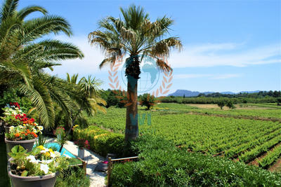 Maison - 233 m² - 10 pièces