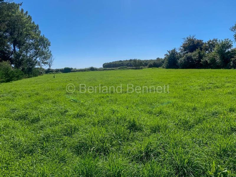 Maison en pierre - 132 m² - 5 pièces