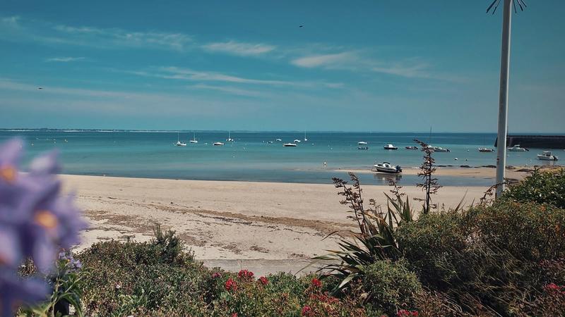 Appartement - 49 m² - 3 pièces