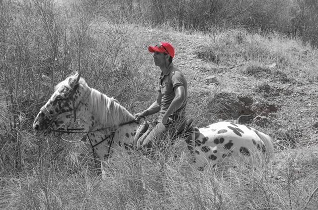 Cours privés ou collectifs, balades, stage d'été aux Ecuries du Dropt