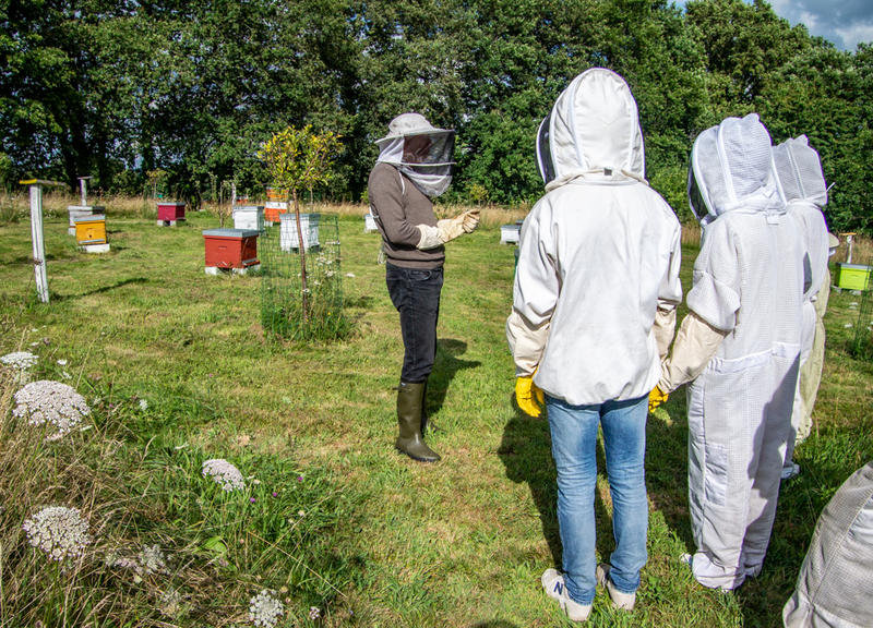Visite du Rucher d'Artémis