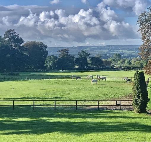 Manoir - 730 m² - 20 pièces