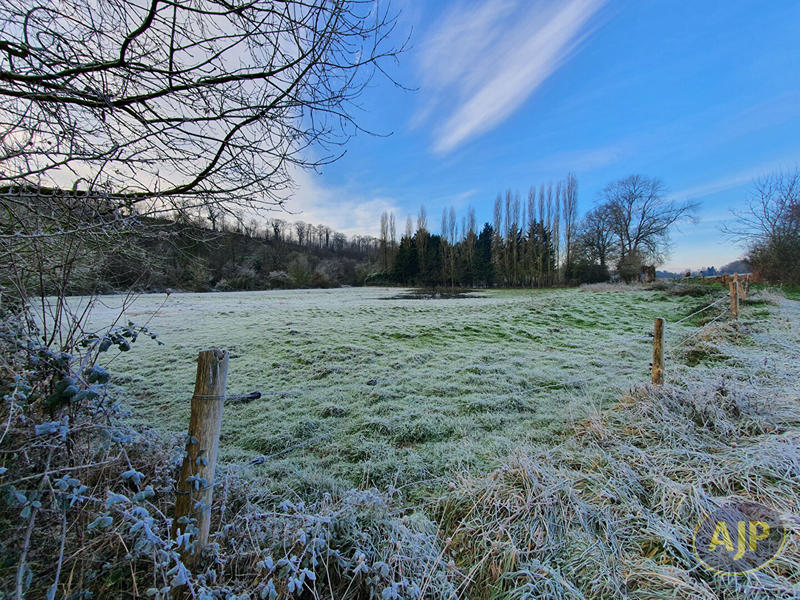 Terrain - 11 502 m²