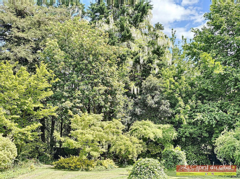 Maison - 198 m² - 11 pièces