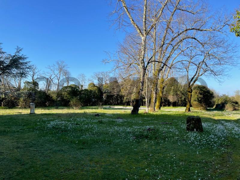 Château - 550 m² - 11 pièces