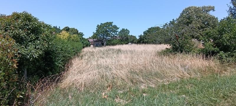 Terrain constructible - 1 679 m²