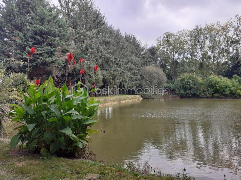 Maison - 25 m² - 1 pièce