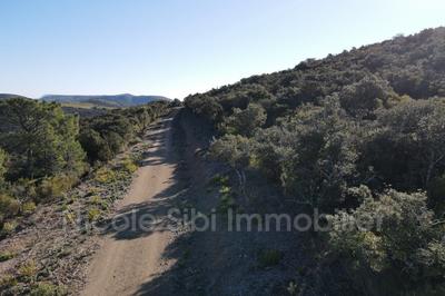 Terrain agricole - 50 857 m²