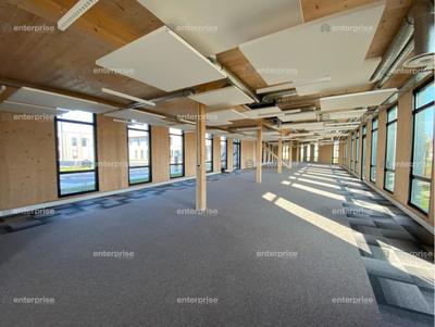 Bureau - 159 m²