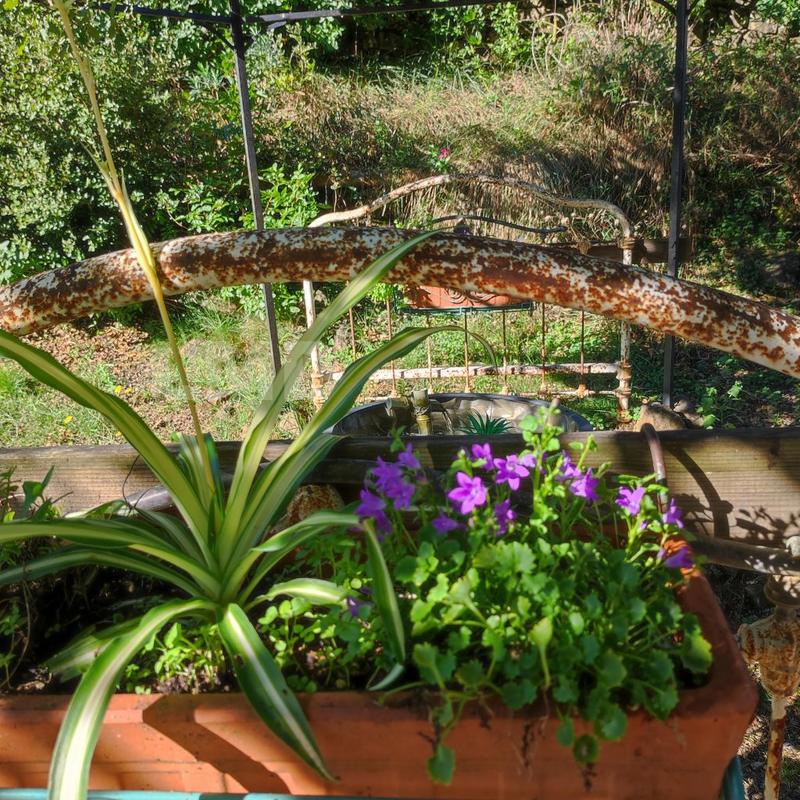 Maison - 430 m² - 18 pièces