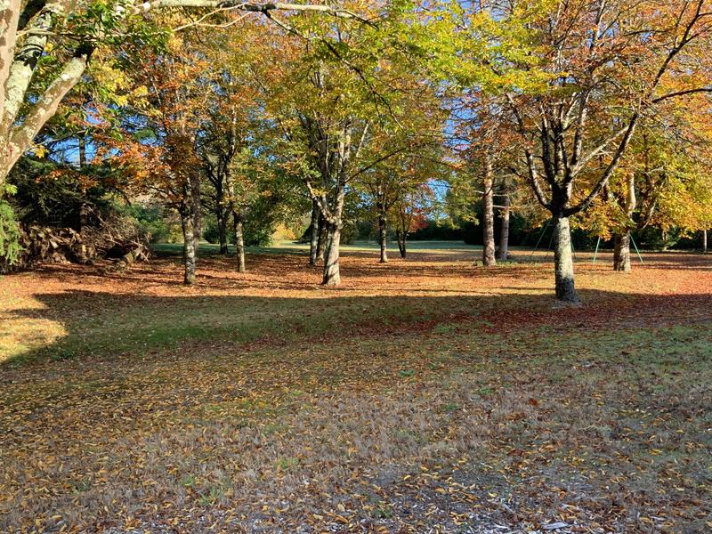 Maison - 346 m² - 9 pièces