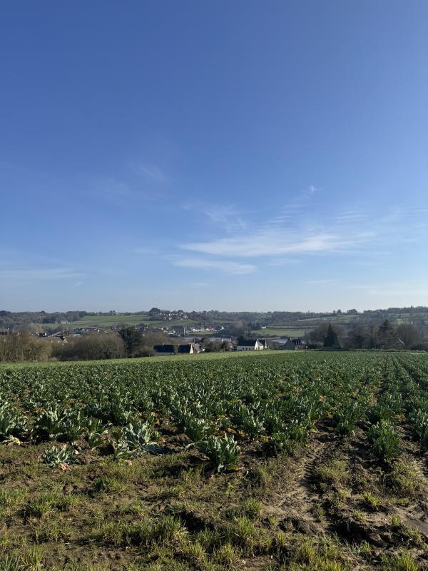 Terrain constructible - 365 m²