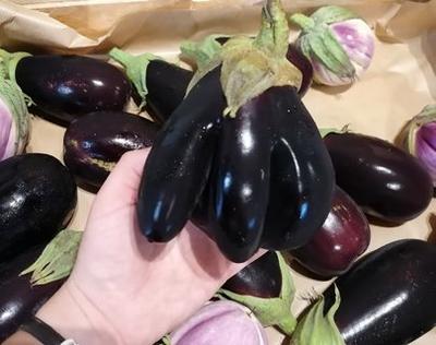 Aux Jardins du Soubeau