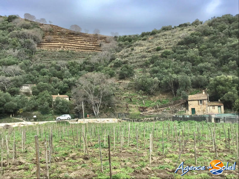 Terrain agricole - 4 000 m²