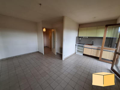 Appartement - 36 m² - 2 pièces
