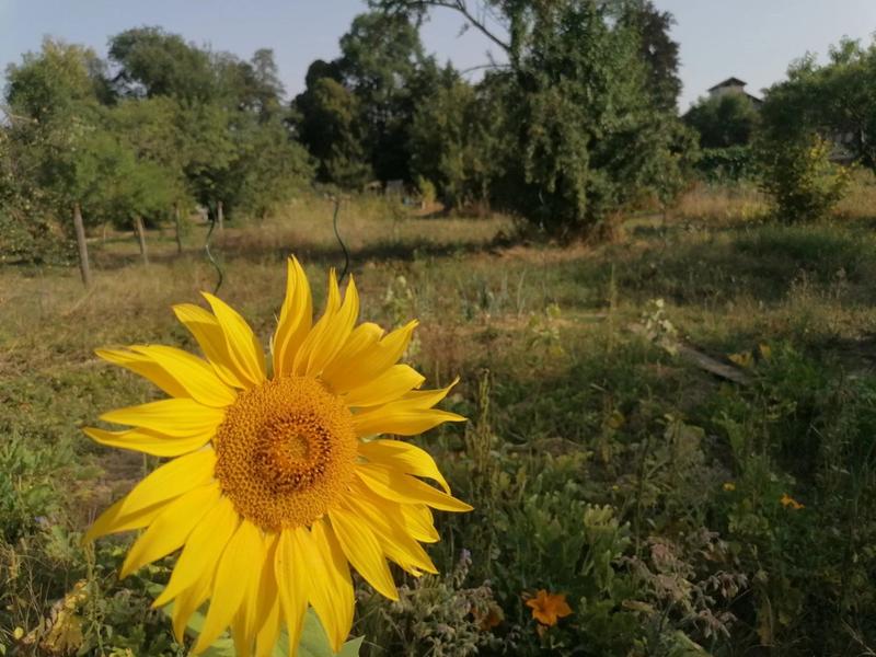 Maison - 88 m² - 5 pièces