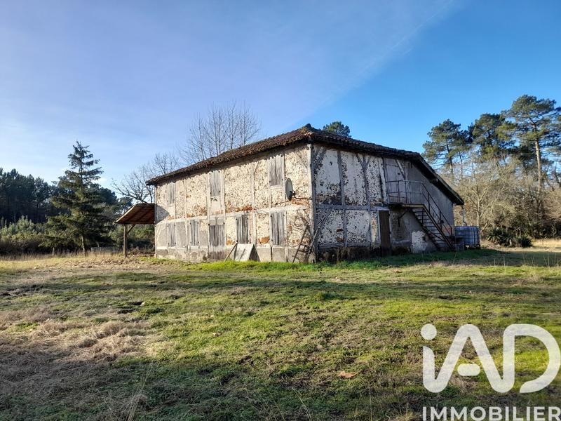 Maison - 160 m² - 5 pièces