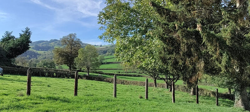 Maison - 113 m² - 4 pièces