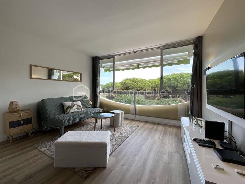 Studio - 24 m² - 1 pièce