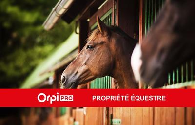 Maison - 251 m² - 7 pièces