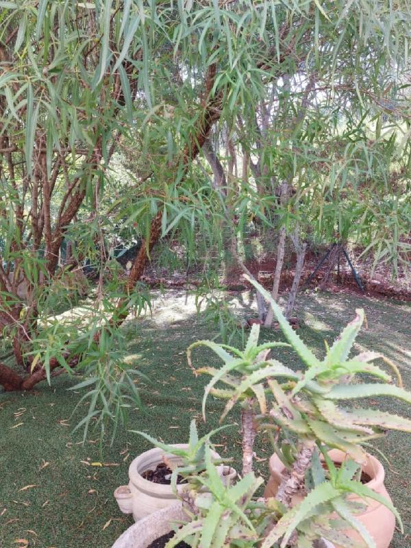 Maison - 218 m² - 7 pièces