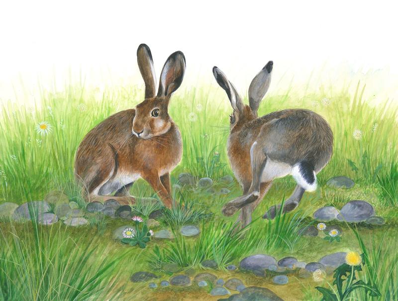 Votre semaine en 7 Vallées