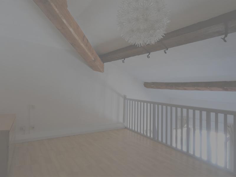 Appartement - 53 m² - 1 pièce