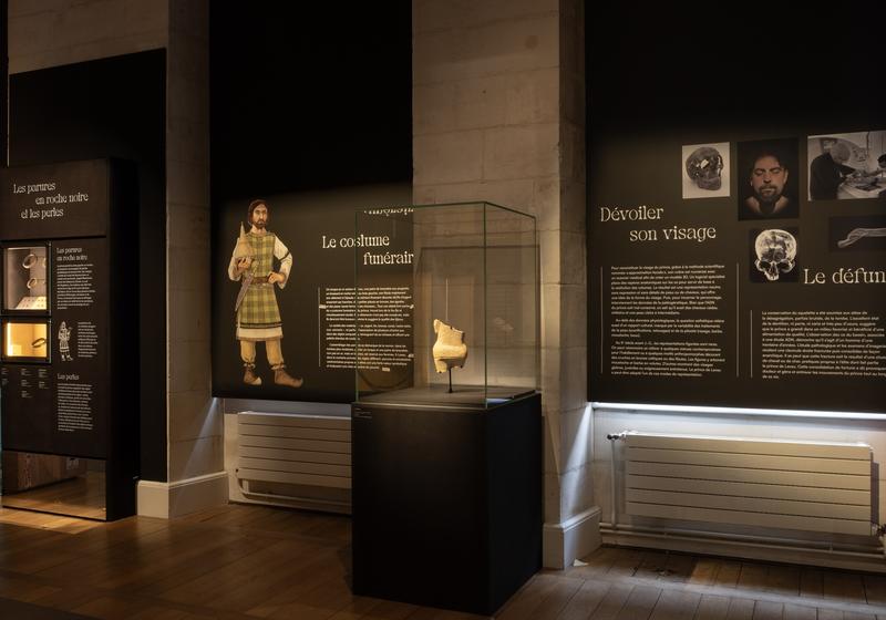 Visite guidée de l'exposition "Lavau, un prince celte en bord de Seine"