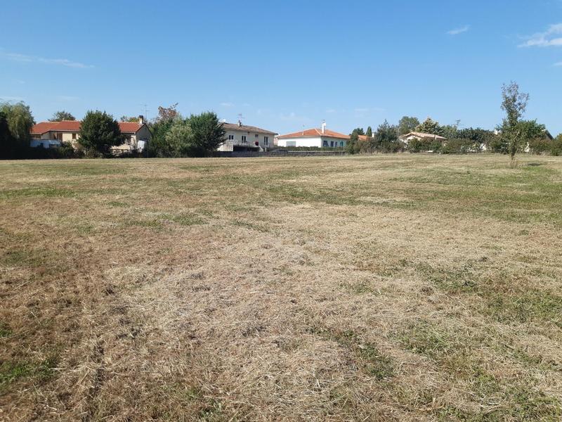 Terrain constructible - 8 711 m²
