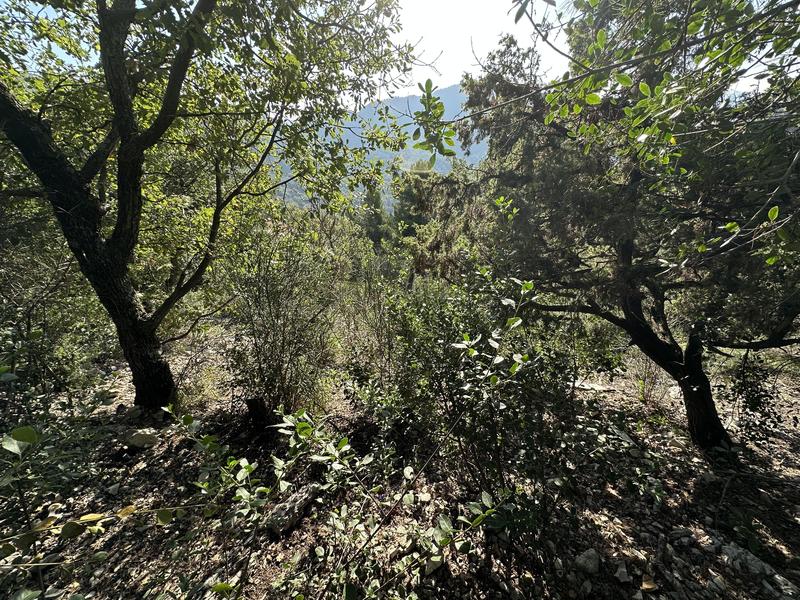 Terrain de loisirs - 6 839 m²