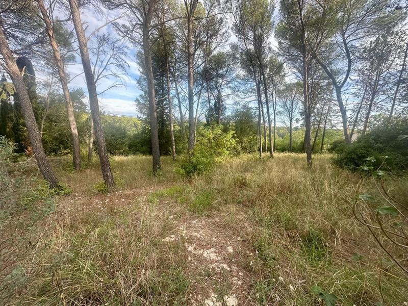 Terrain constructible - 1 041 m²