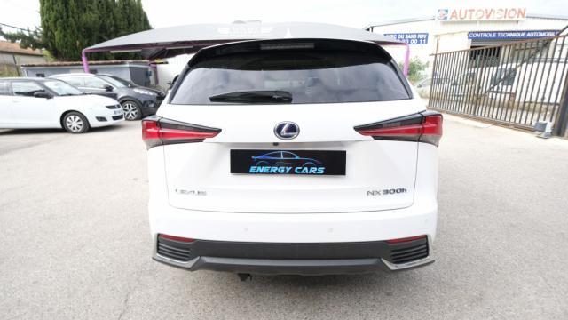 Lexus Nx My20 Mm19 300h 4wd Executive