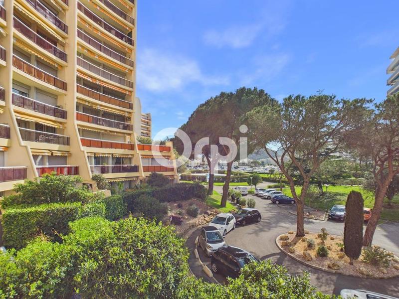 Studio - 31 m² - 1 pièce