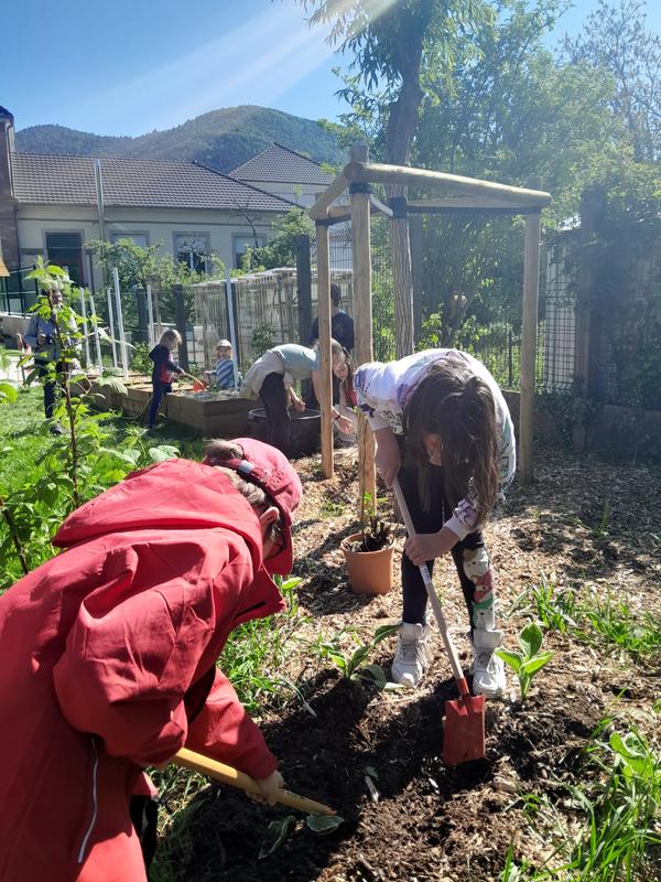 Préparation du sol et création d’un potager sur gazon