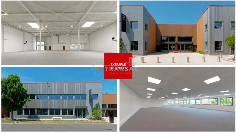 Entrepôt - 1 117 m²