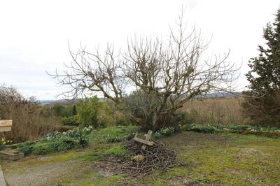 Maison - 132 m² - 5 pièces