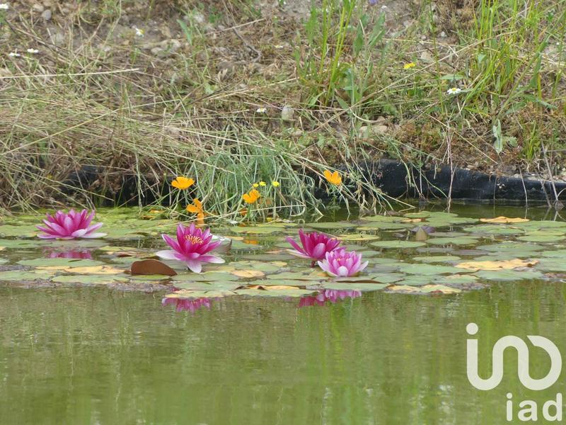 Maison - 125 m² - 7 pièces