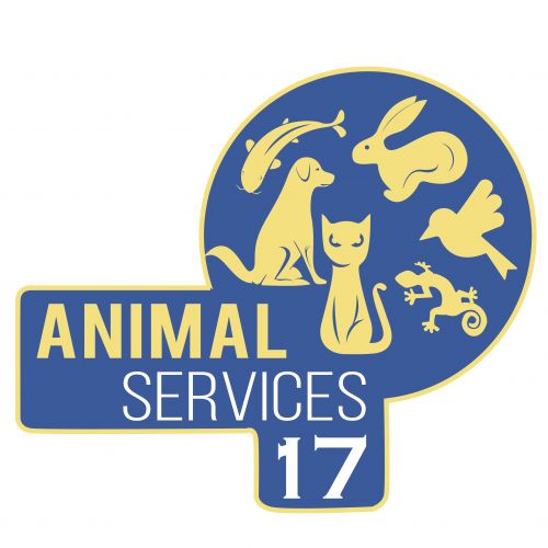 Animal Services 17