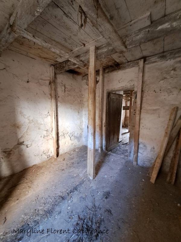 Maison en pierre - 175 m² - 10 pièces