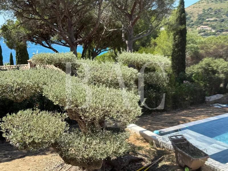 Villa - 450 m² - 9 pièces