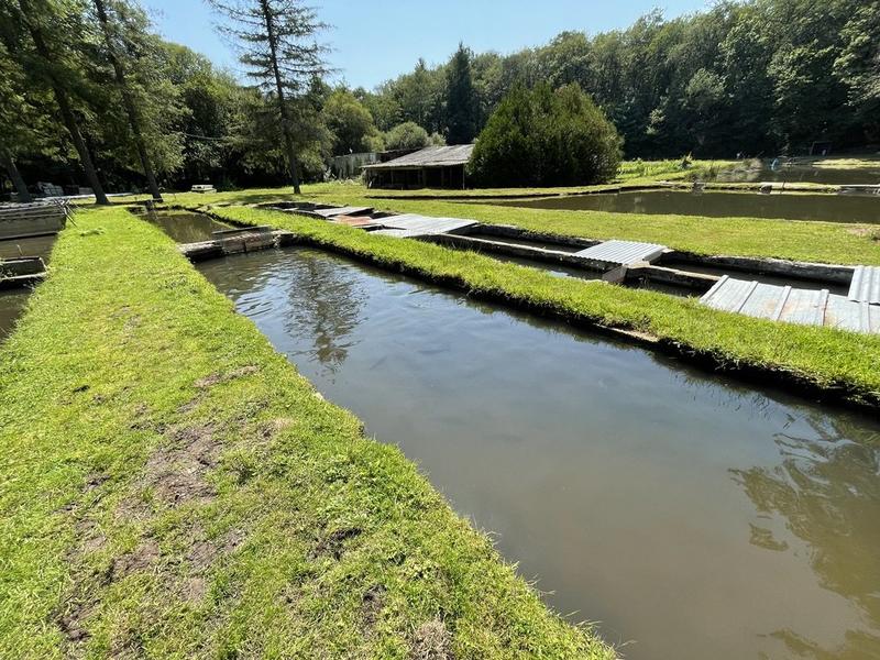 Maison ancienne - 50 m² - 3 pièces