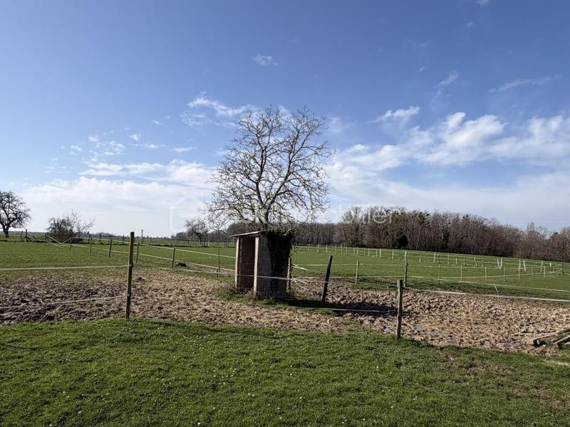 Corps de ferme - 72 m² - 3 pièces