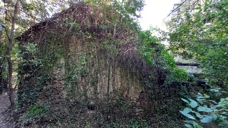 Terrain de loisirs - 31 439 m²