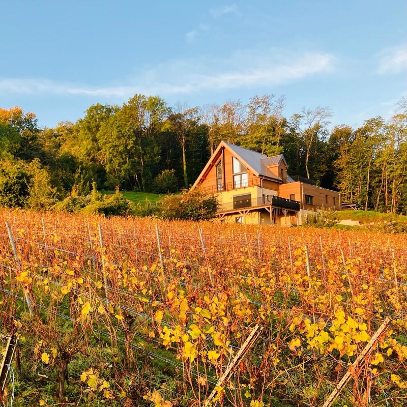 Villa - 295 m² - 15 pièces