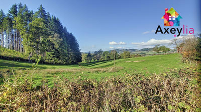 Maison - 321 m² - 11 pièces