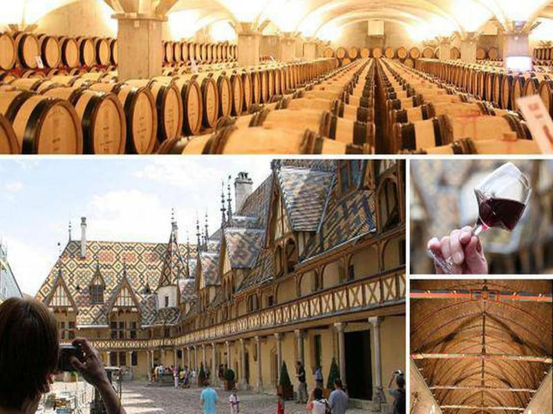 Viager - Maison - 68 m² - 3 pièces