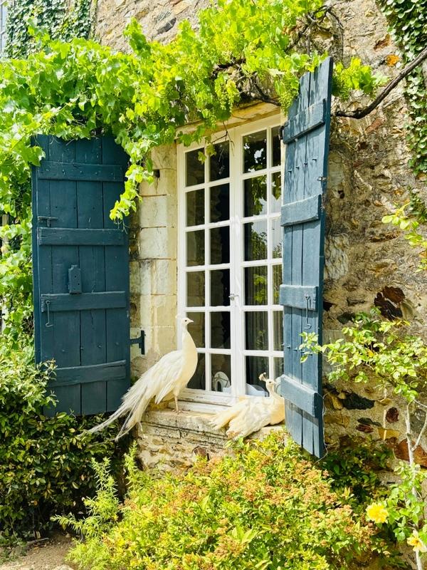 Manoir - 347 m² - 12 pièces